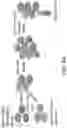 Fig. 05 - Methods and compositions for identifying epitopes
