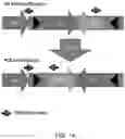 Fig. 17 - Methods and compositions for identifying epitopes