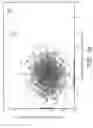 Fig. 21 - Methods and compositions for identifying epitopes