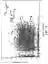 Fig. 24 - Methods and compositions for identifying epitopes