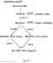 Fig. 06 - Oxidation-resistant AAT gene therapy