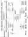 Fig. 03 - Mapping memory allocation requests using various memory attributes