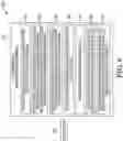 Fig. 09 - CLASSIFICATION OF UNSEEN DATA