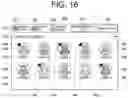 Fig. 17 - INFORMATION PROCESSING DEVICE, RECORDING MEDIUM STORING USER MANAGEMENT PROGRAM FOR INFORMATION PROCESSING DEVICE, AND USER MANAGEMENT METHOD