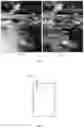 Fig. 02 - Display panel, display device and image acquiring method thereof