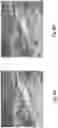 Fig. 09 - Utilizing alignment models and motion vector path blending to generate a long exposure digital image from a sequence of short exposure digital images