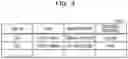 Fig. 05 - Recording medium, method, and information processing device for generating three-dimensional synthesized video of information related to subjects with background area based on free viewpoint video