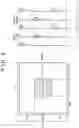 Fig. 06 - Radiation imaging apparatus, control method for the same, and radiation imaging system