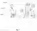 Fig. 22 - Method and device for displaying a screen shot