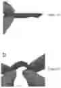 Fig. 02 - Methods of synthesizing three-dimensional heteroatom-doped carbon nanotube macro materials and compositions thereof