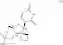 Fig. 07 - Uracyl spirooxetane nucleosides