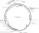Fig. 01 - INNOVATIVE PREPARATION PROCESS FOR BMP-2 STEM CELLS