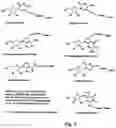 Fig. 02 - LABELLED NUCLEOTIDES