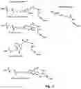 Fig. 03 - LABELLED NUCLEOTIDES