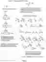 Fig. 04 - LABELLED NUCLEOTIDES
