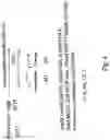 Fig. 05 - LABELLED NUCLEOTIDES
