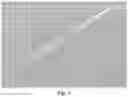 Fig. 02 - SOLID PHASE MICROEXTRACTION COATING