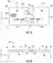 Fig. 02 - Multi-part transaction card