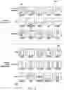 Fig. 04 - ARTIFICIAL NEURAL NETWORK WITH CONTEXT PATHWAY