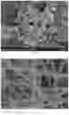 Fig. 04 - Anode material of lithium ion battery and non-aqueous electrolyte battery