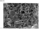 Fig. 08 - Rotaxane polymer binder for lithium secondary battery, electrode comprising same, and secondary battery comprising same