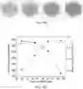 Fig. 22 - Three-dimensional lattice batteries via additive manufacturing