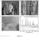 Fig. 20 - SOLID-STATE HYBRID ELECTROLYTES, METHODS OF MAKING SAME, AND USES THEREOF