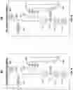 Fig. 06 - Integrated electrical management system and architecture