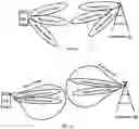 Fig. 09 - METHOD FOR BEAM STEERING IN MULTIPLE-INPUT MULTIPLE-OUTPUT SYSTEM