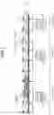 Fig. 02 - Base station apparatus, ground station device, and ground antenna device