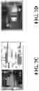 Fig. 09 - OPTICAL FIBER WIRELESS INTEGRATION SYSTEM USING DUAL POLARIZATION ANTENNA