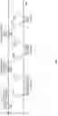Fig. 06 - User terminal and radio communication method
