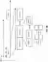 Fig. 05 - Determining hybrid automatic repeat request (HARQ) processes for multi-transmit receive point (TRP)