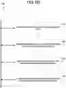 Fig. 12 - Certifying authenticity of data modifications