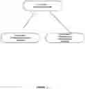 Fig. 14 - System and method for supporting subnet number aliasing in a high performance computing environment