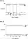 Fig. 05 - Image reading apparatus and shading correction method for switching shading correction based on external light