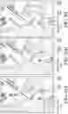 Fig. 23 - Mobility gene for visit data