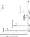 Fig. 03 - Wi-Fi radar detection using synchronized wireless access point