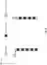 Fig. 06 - Collision handling for semi-persistent scheduling signals