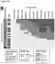 Fig. 06 - Compositions and methods for inducing HIV-1 antibodies