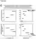 Fig. 07 - Compositions and methods for inducing HIV-1 antibodies