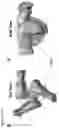 Fig. 17 - Compositions and methods for inducing HIV-1 antibodies