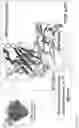 Fig. 181 - Compositions and methods for inducing HIV-1 antibodies