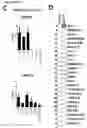 Fig. 31 - Compositions and methods for inducing HIV-1 antibodies