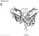 Fig. 48 - Compositions and methods for inducing HIV-1 antibodies