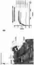 Fig. 53 - Compositions and methods for inducing HIV-1 antibodies