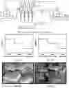Fig. 02 - Continuous crystallization method under control of multistage membrane
