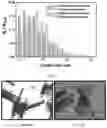 Fig. 03 - Continuous crystallization method under control of multistage membrane