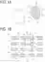 Fig. 02 - Functional structural body and method for making functional structural body