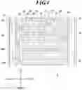 Fig. 05 - Skeletal structure